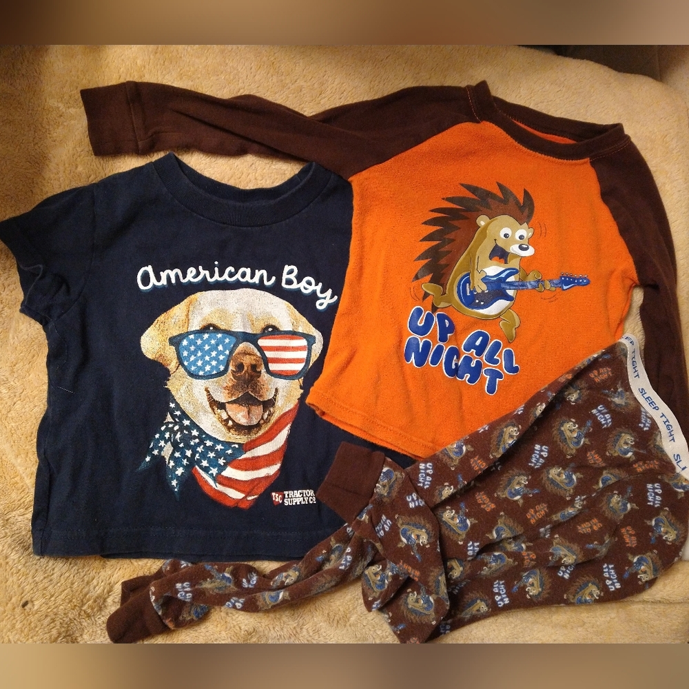 Patriotic Puppy T-Shirt and Music Porcupine Hedgehog Pajama Set